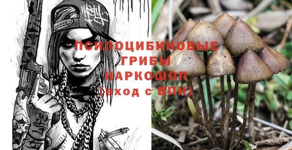 а пвп мука Осинники