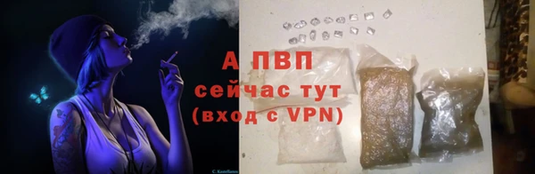 экстази Осташков